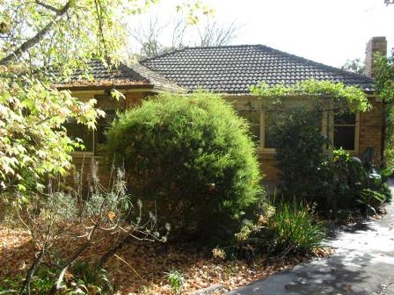19 Romoly Street, Forest Hill VIC 3131
