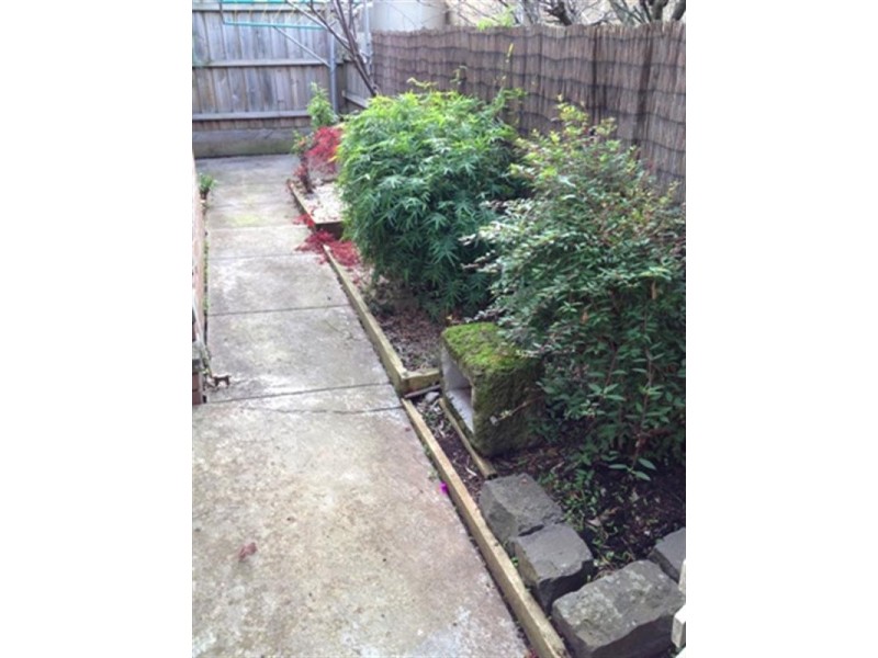 8/10 Hotham Street, Mont Albert VIC 3127