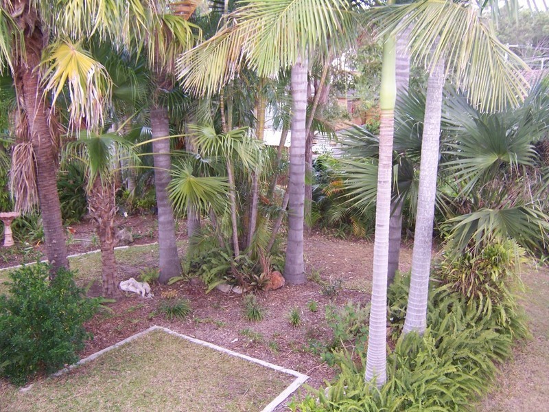 Logan Central QLD 4114