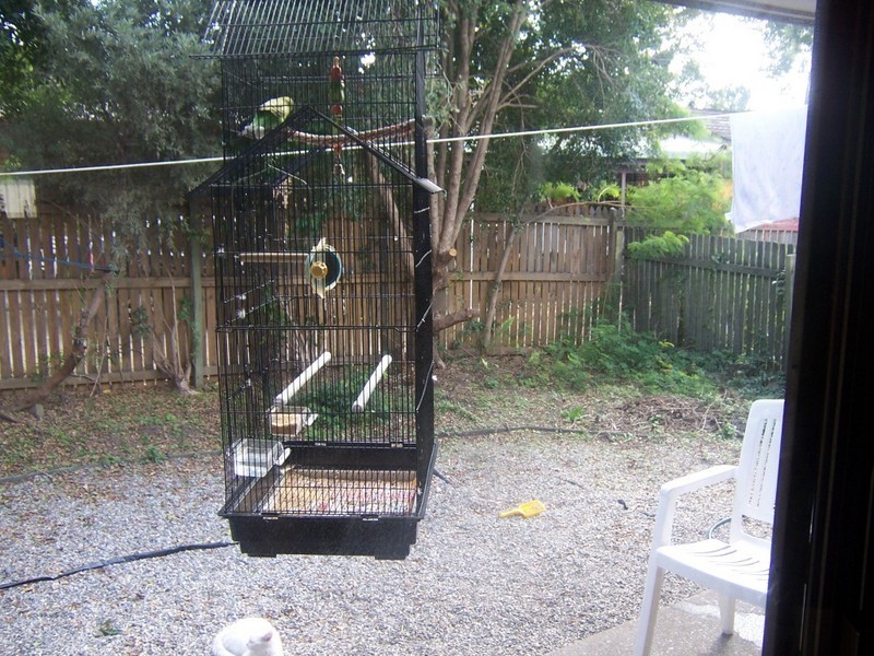 Logan Central QLD 4114