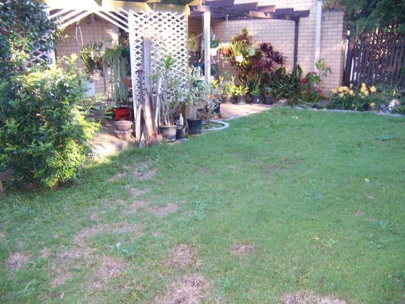 Logan Central QLD 4114