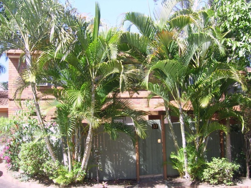 37/111 Barbaralla Drive, Springwood QLD 4127