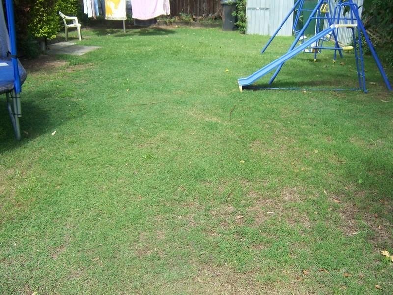 Logan Central QLD 4114