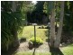 66 Allamanda Drive, Daisy Hill QLD 4127