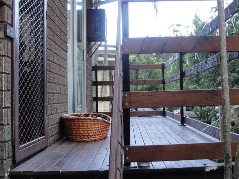 14 Caesar Street, Kingston QLD 4114