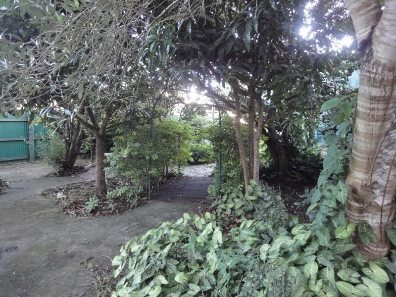 5 Horton Street, Kingston QLD 4114