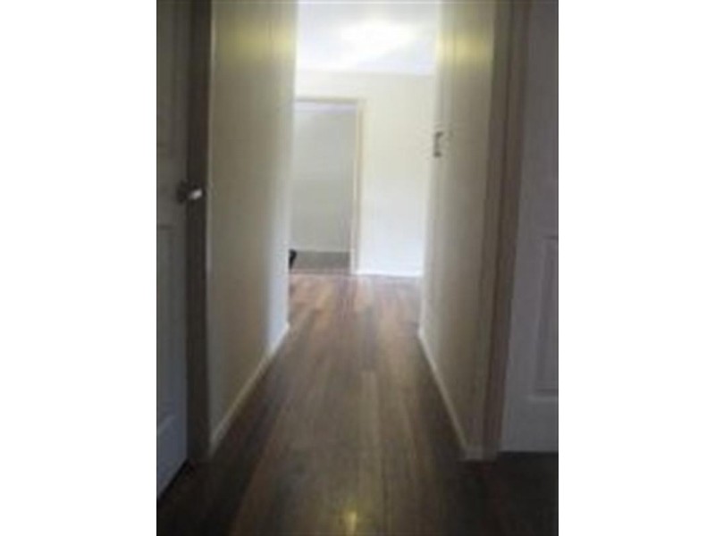 117 Jacaranda Avenue, Kingston QLD 4114