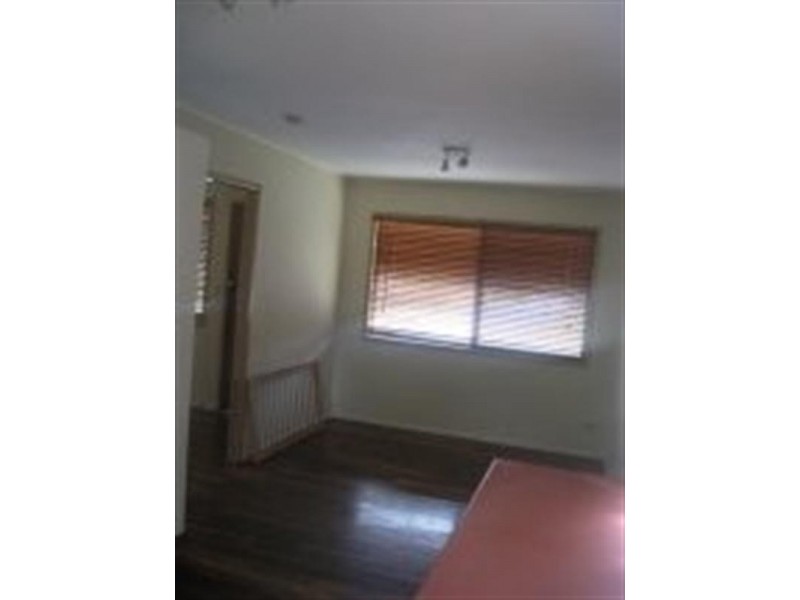 117 Jacaranda Avenue, Kingston QLD 4114