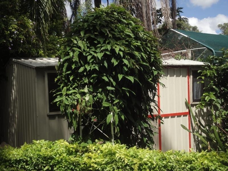 Marsden QLD 4132
