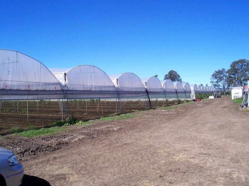 Rifle Range QLD 4311