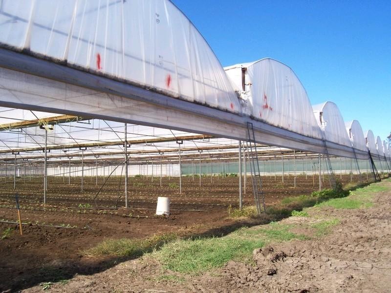 Rifle Range QLD 4311