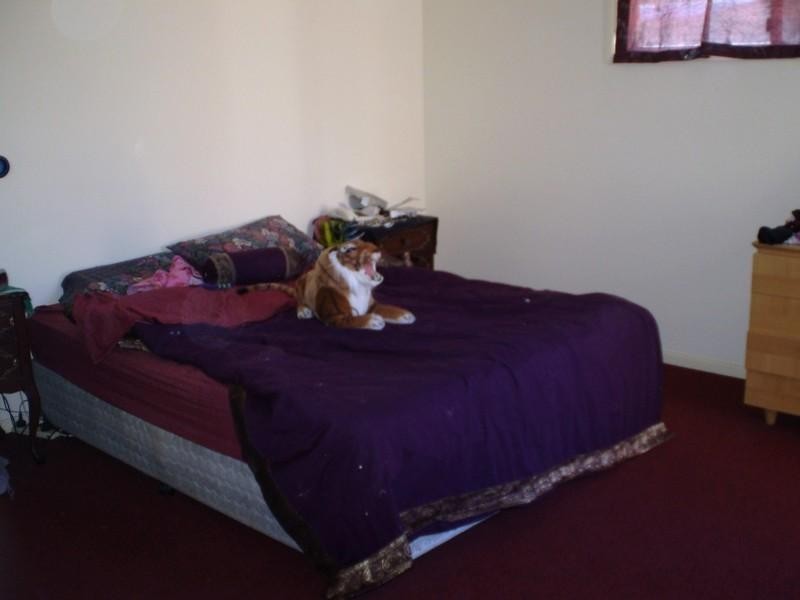 Regency Downs QLD 4341