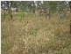 Lockrose QLD 4342