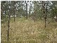Lockrose QLD 4342