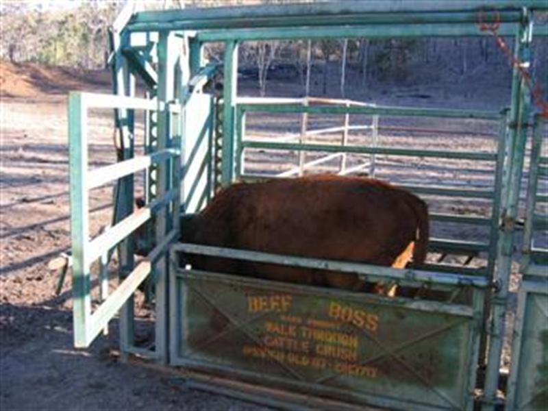 Black Duck Creek QLD 4343