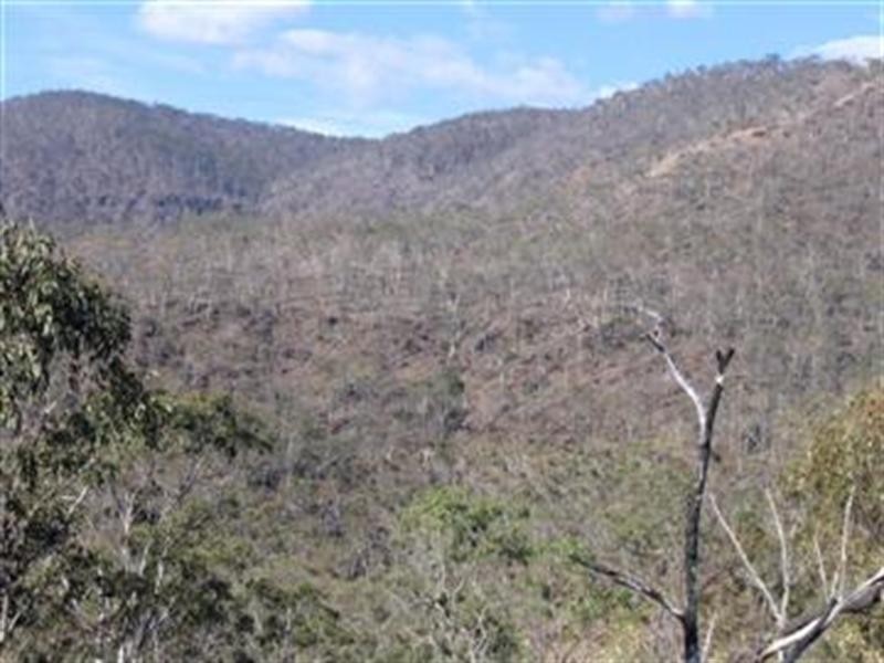 Black Duck Creek QLD 4343