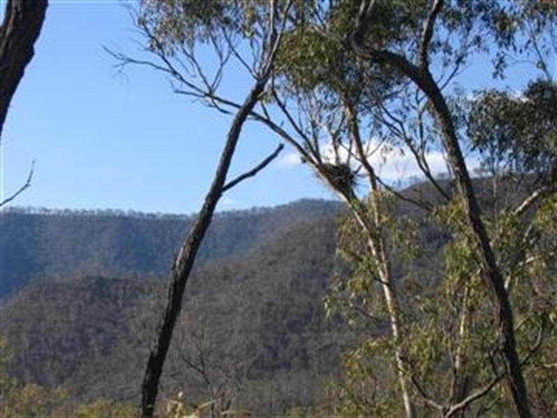 Black Duck Creek QLD 4343