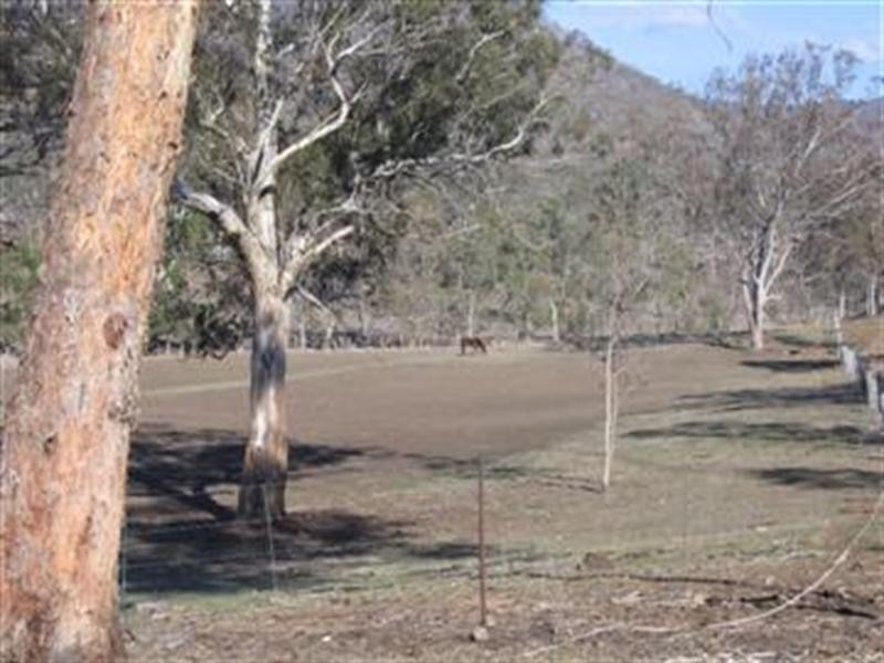 Black Duck Creek QLD 4343