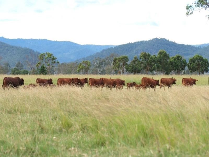 Wivenhoe Pocket QLD 4306