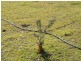 Brightview QLD 4311