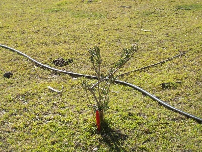 Brightview QLD 4311