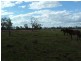 Coominya QLD 4311