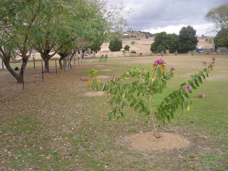 Tarampa QLD 4311