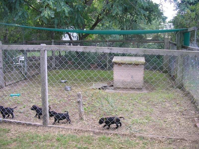 Kensington Grove QLD 4341