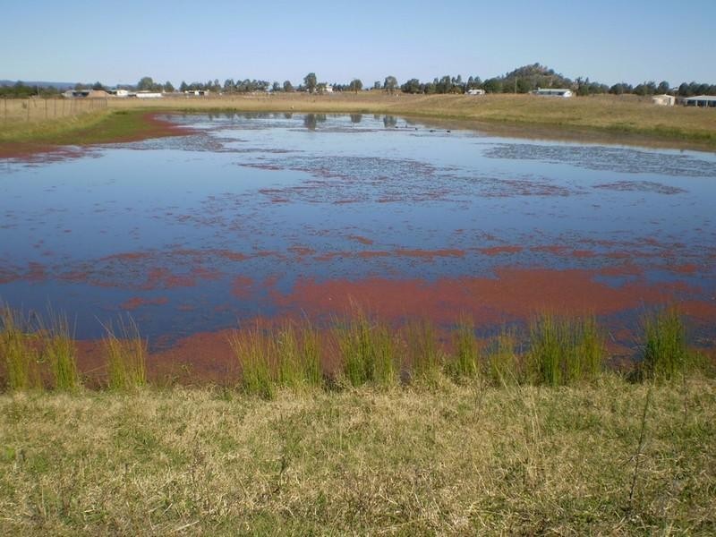 Mount Tarampa QLD 4311