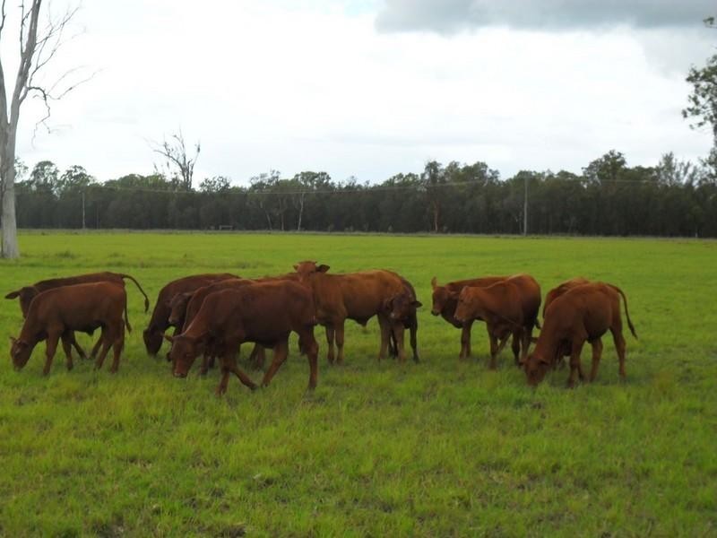 Morton Vale QLD 4343