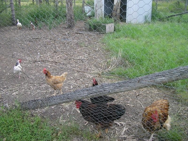 Coominya QLD 4311