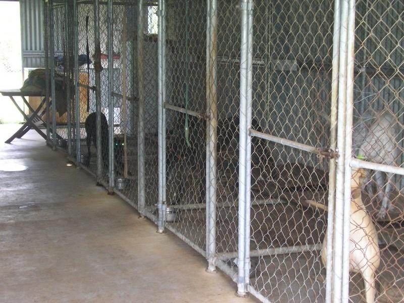 Spring Creek QLD 4343