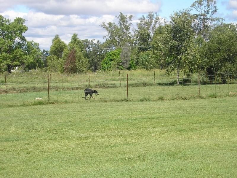 Spring Creek QLD 4343