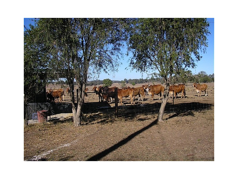 Glamorgan Vale QLD 4306