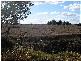 Glamorgan Vale QLD 4306