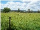 Laidley Heights QLD 4341