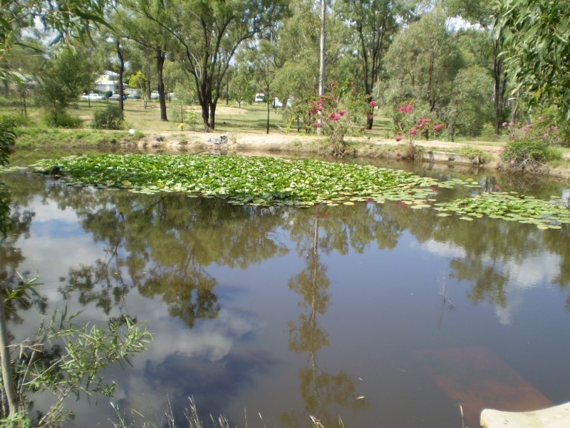 Regency Downs QLD 4341