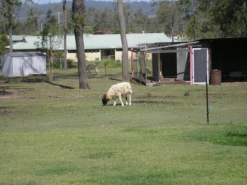 Laidley Heights QLD 4341