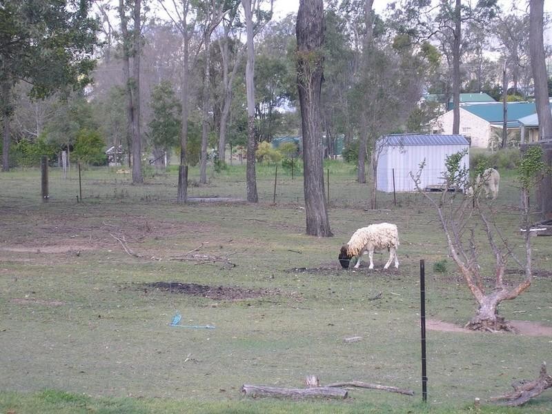 Laidley Heights QLD 4341