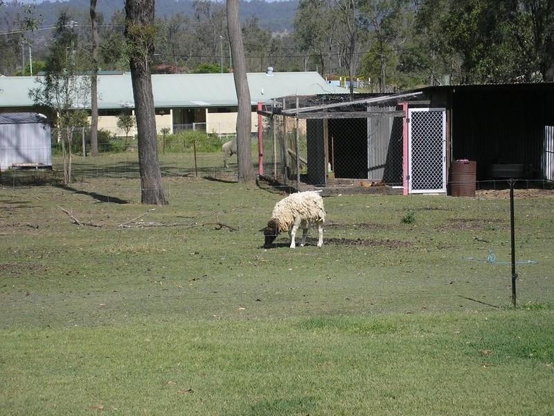 Laidley Heights QLD 4341