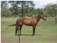 Lowood QLD 4311