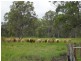 359 Willaura Drive, Mount Hallen QLD 4312