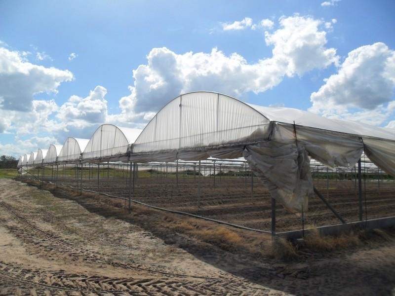 5 Jamieson Road, Churchable QLD 4311