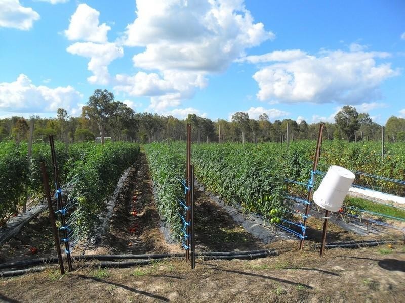 5 Jamieson Road, Churchable QLD 4311