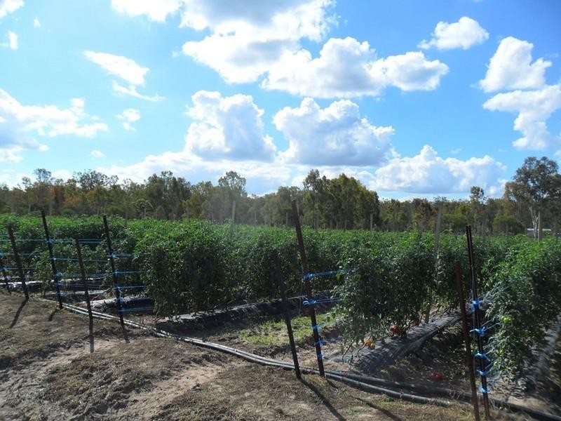 5 Jamieson Road, Churchable QLD 4311