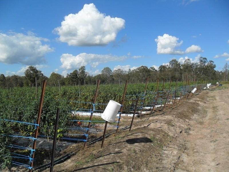 5 Jamieson Road, Churchable QLD 4311