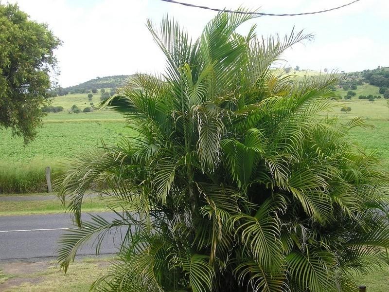 115 Prospect Street, Lowood QLD 4311