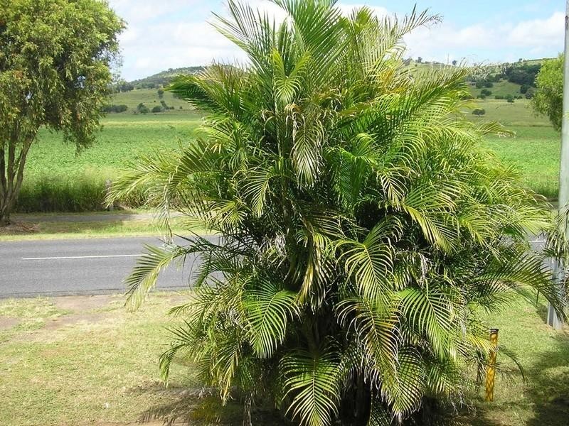 115 Prospect Street, Lowood QLD 4311