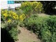 Esk QLD 4312