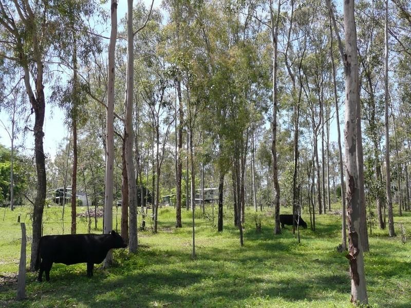 215 Bartleys Road, Spring Creek QLD 4343